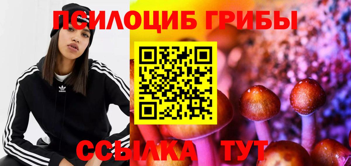 Галлюциногенные грибы Magic Shrooms Саранск