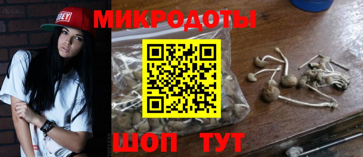 Псилоцибиновые грибы GOLDEN TEACHER  Вход с VPN  магазин    Саранск 